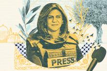 A heavily filtered photo of Palestinian American journalist Shireen Abu Akleh in chest armor with "PRESS" emblazoned across the front. She is surrounded with illustrations of Arabic text, plants, and a microphone with doves flying out from the mic.