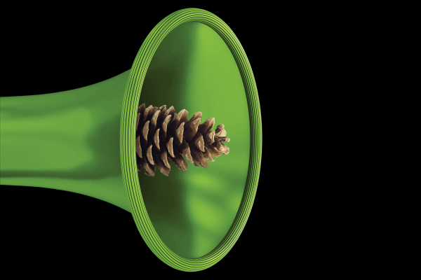 Illustration of a pinecone emerging from the bell of a green bugle