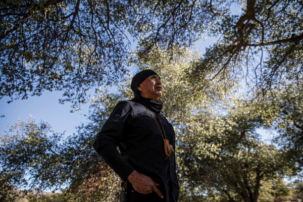 The picture shows a Native American man looking up at some trees. The background is trees and sky. 