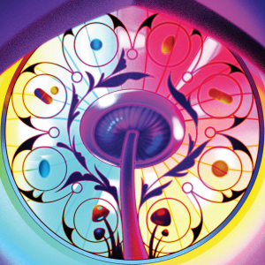 The illustration shows a church stained glass window with rainbow colors that also looks like an eye, and there is a giant mushroom in the middle